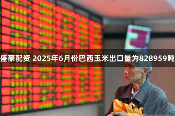 盛豪配资 2025年6月份巴西玉米出口量为828959吨